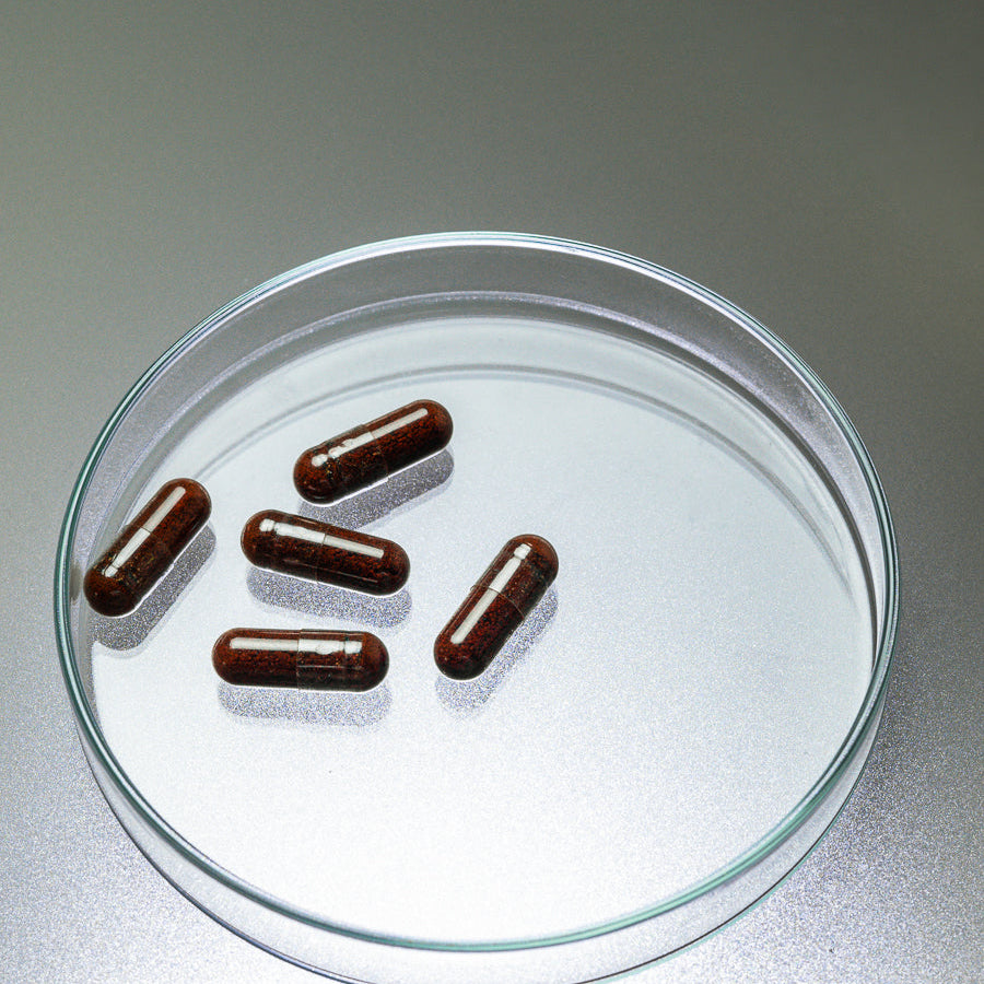 Pourquoi les mitochondries sont-elles au cœur du vieillissement cutané ?