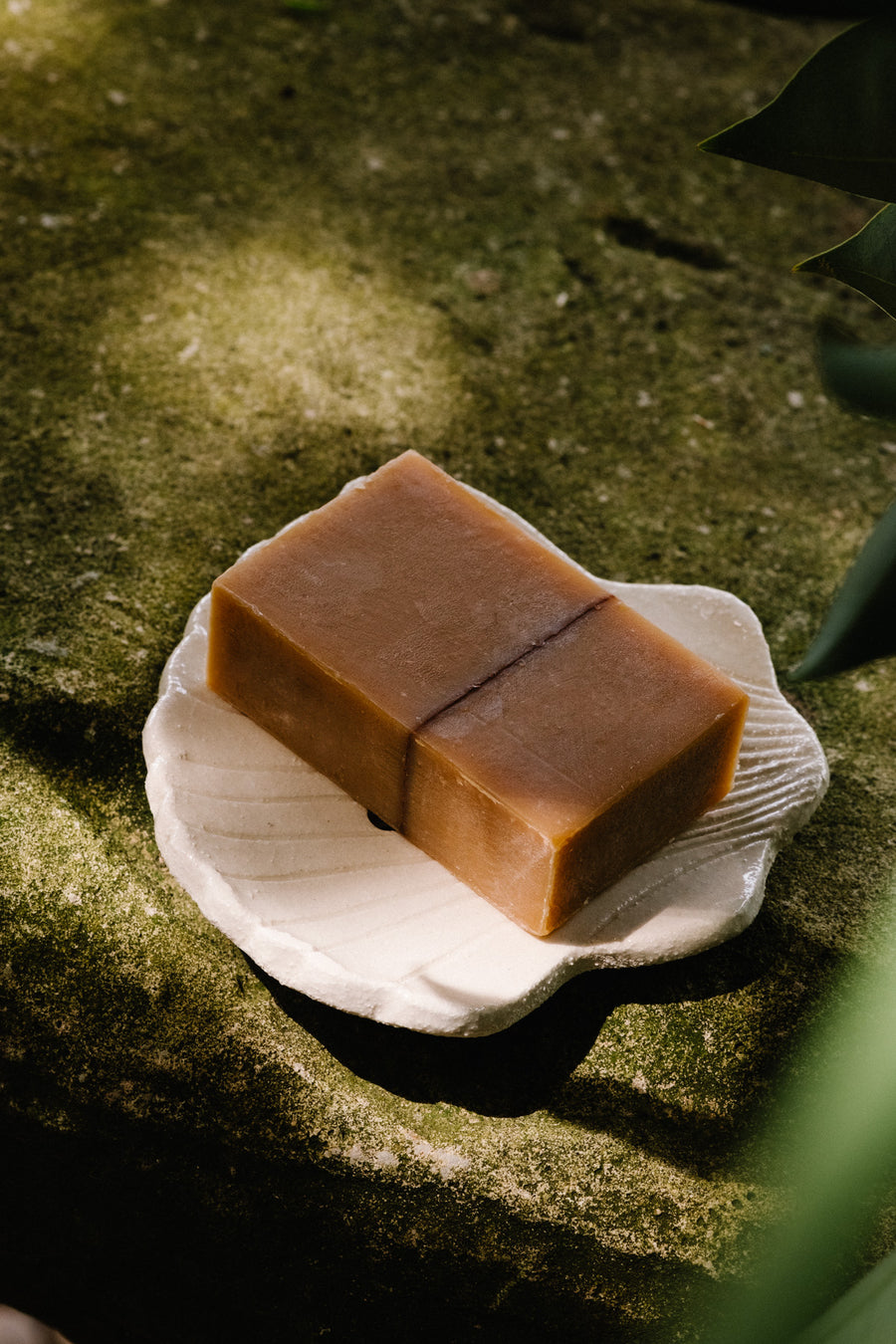 Le Savon mangue & avocat et le Porte savon coquillage